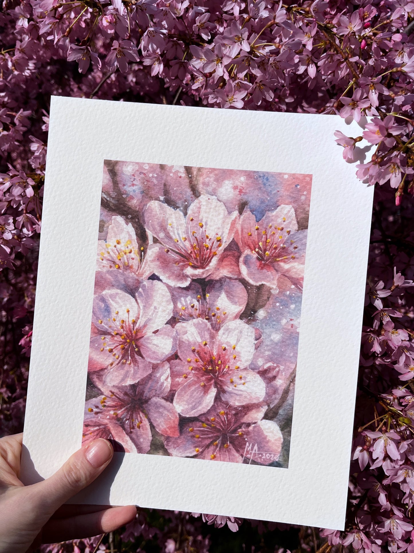Spring Blossoms I Art Print | 20×25 cm