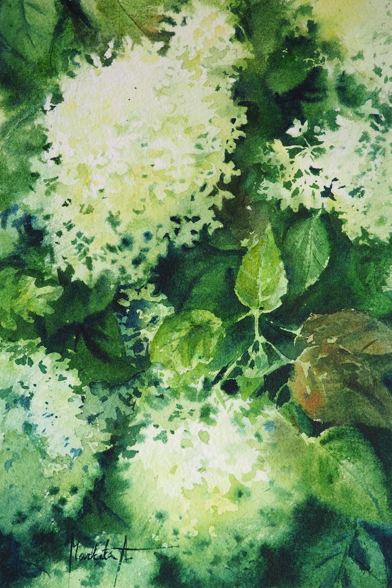 White Hydrangea Original Painting | 19×28 cm