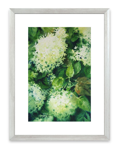 White Hydrangea Original Painting | 19×28 cm