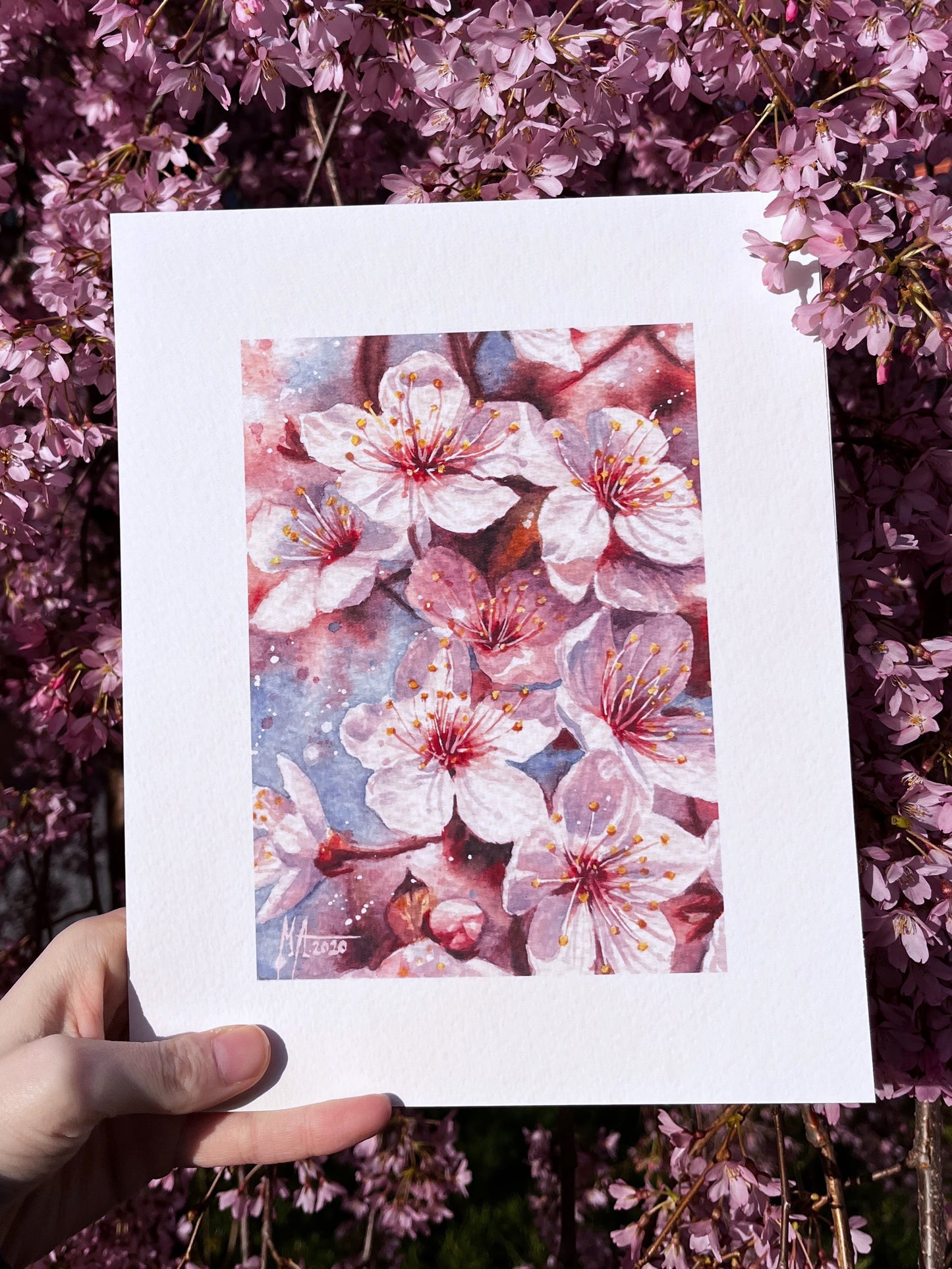 Spring Blossoms II Art Print | 20×25 cm