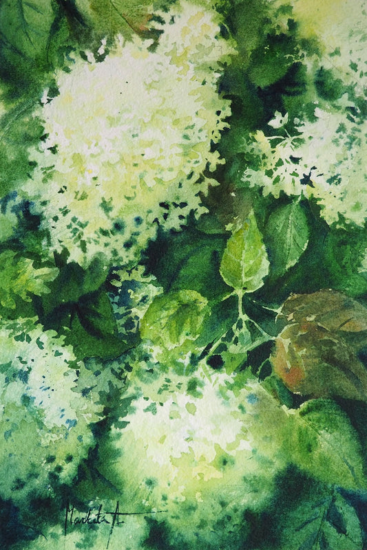 White Hydrangea Original Painting | 19×28 cm