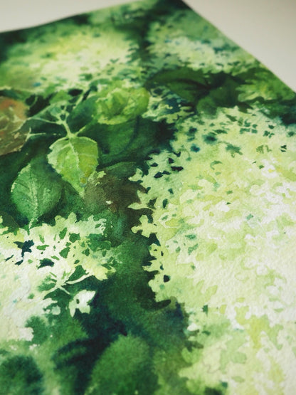 White Hydrangea Original Painting | 19×28 cm